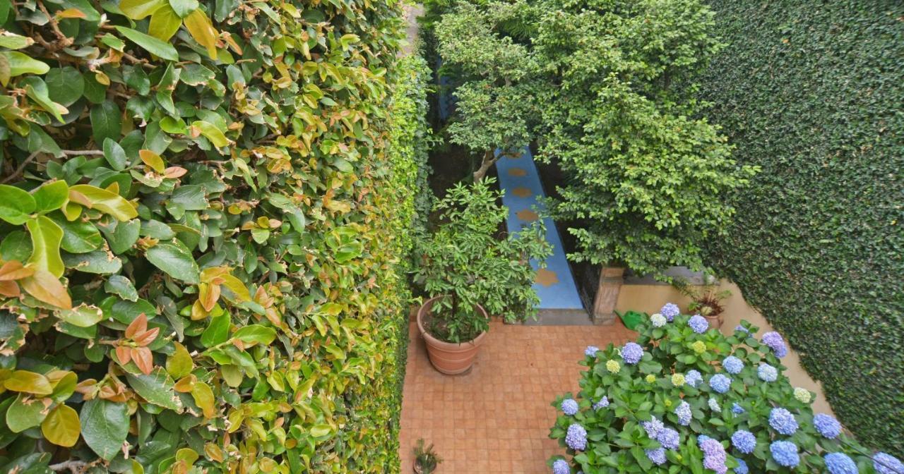 B&B Di Charme Camelie Palazzo Nicotra Riposto Zewnętrze zdjęcie